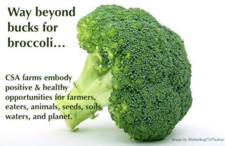 Agrarian Commons: Community-Supported Agriculture’s Role in Recovery Image